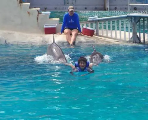 Dolphin Swim SeaLife Park Hawaii