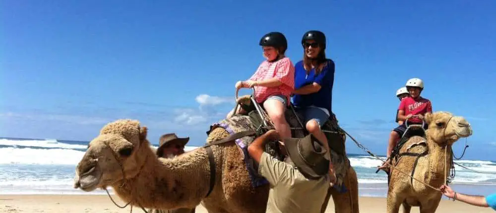 Ride camels at the beach