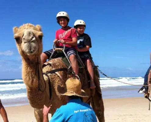 Ride a camel on the beach