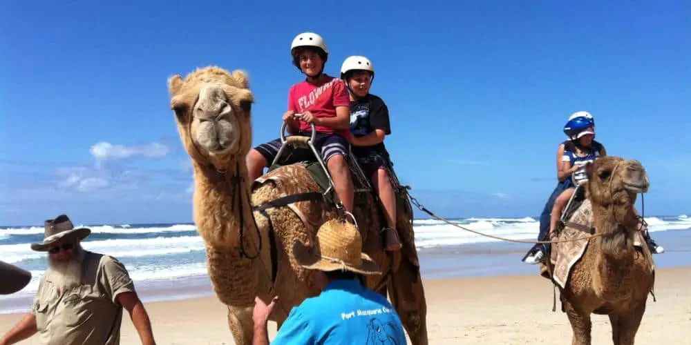 Ride a camel on the beach