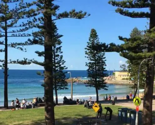 Come Experience the Best Dee Why Beach Has to Offer