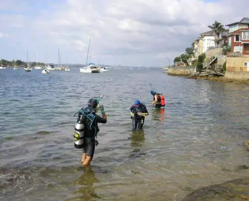Scuba diving at Little Manly Beach