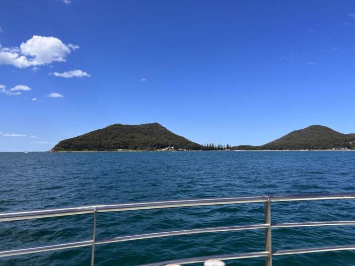 Port Stephens Dolphin Cruise: Fun for the Whole Family - AdventureHQ ...