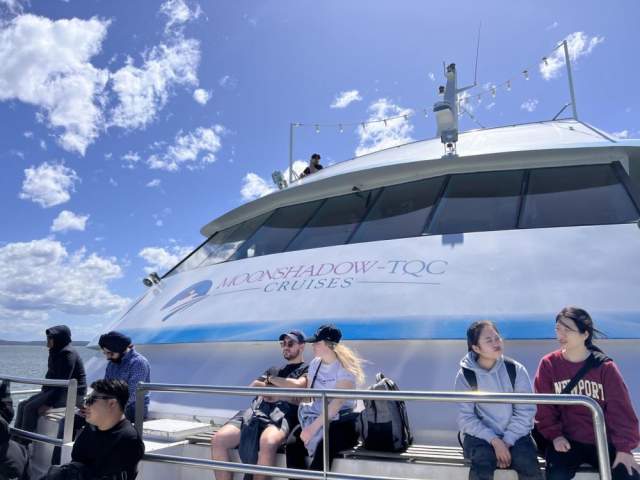 Port Stephens Dolphin Cruise: Fun for the Whole Family - AdventureHQ ...
