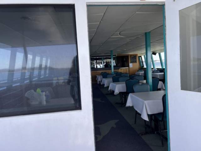 Port Stephens Dolphin Cruise: Fun for the Whole Family - AdventureHQ ...