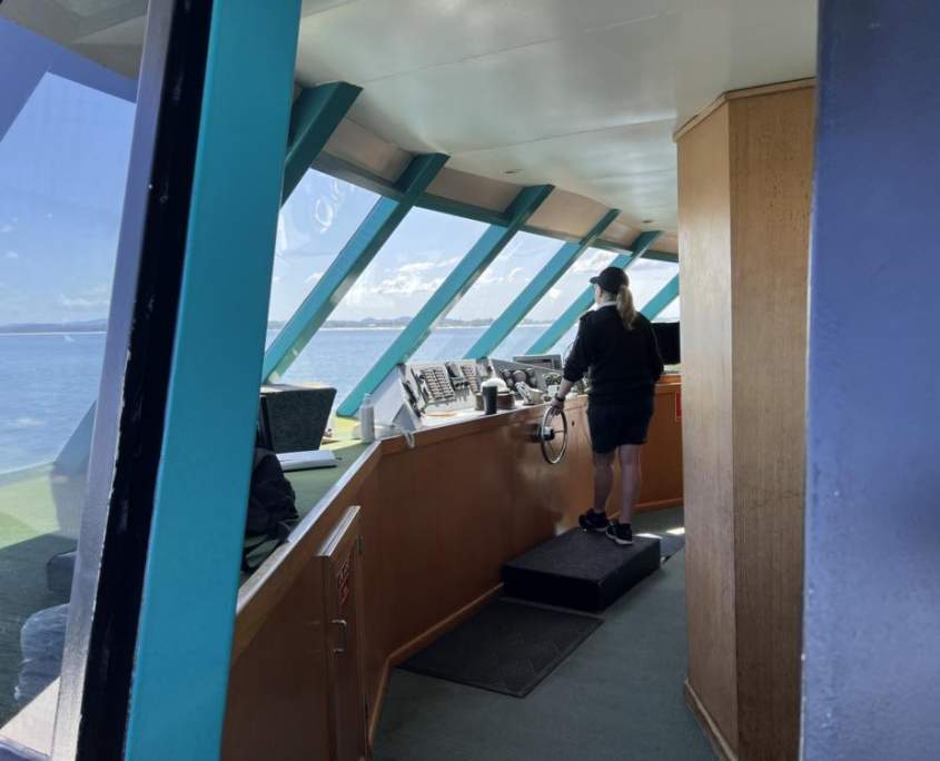 Port Stephens Dolphin Cruise: Fun for the Whole Family - AdventureHQ ...