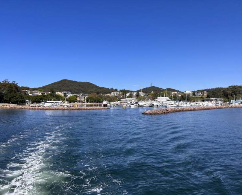 Port Stephens Dolphin Cruise: Fun for the Whole Family - AdventureHQ