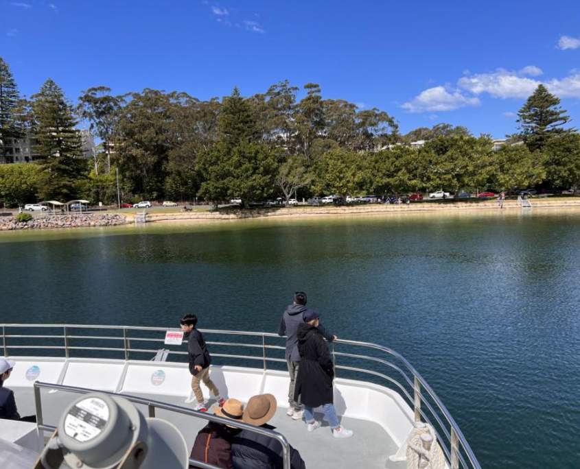 Port Stephens Dolphin Cruise: Fun for the Whole Family - AdventureHQ