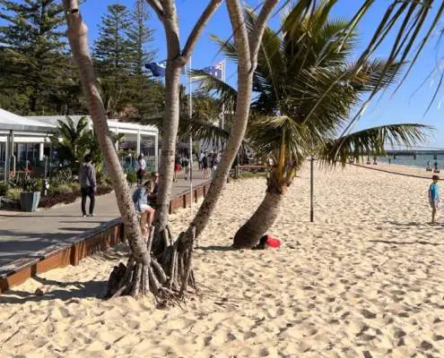 Tangalooma Resort: Holiday Experience Like No Other