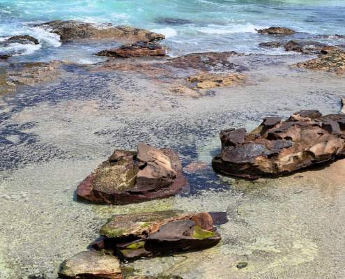 Rocks at Blackwoods Beach