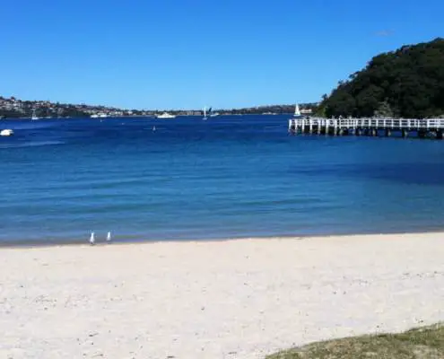 Unwind and Recharge at Clifton Gardens Beach