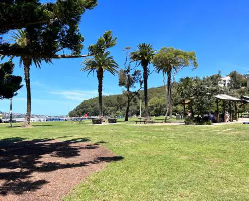 Clifton Gardens with Palm Trees and Picnic Tables