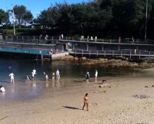 Clovelly Beach: Come for the Sun, Stay for the Fun