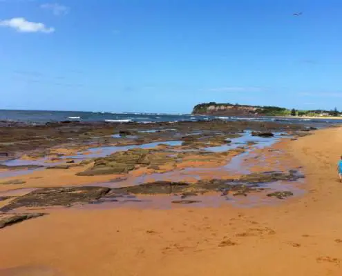 Long Reef Headland View from Collaroy Beach