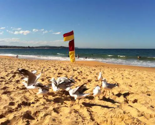 Red Flag and swimmers on Collaroy Beach
