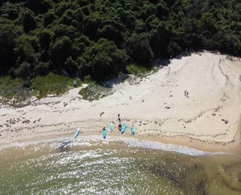 Drone aerial view of Collins Beach Manly