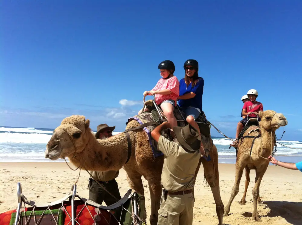 Children on a camel at Port Macquarie