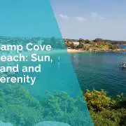 Camp Cove Beach