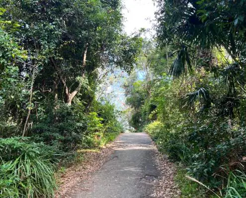 Path to Darook Beach