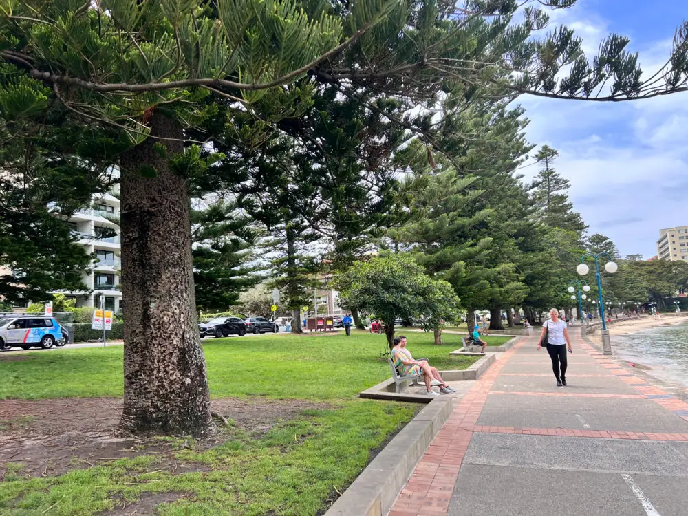 Walkway along East Manly Cove Beach
