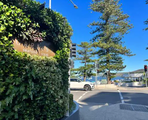 Road crossing leading to East Manly Cove Beach