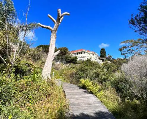Walkway to Hermit Beach with a tree trunk