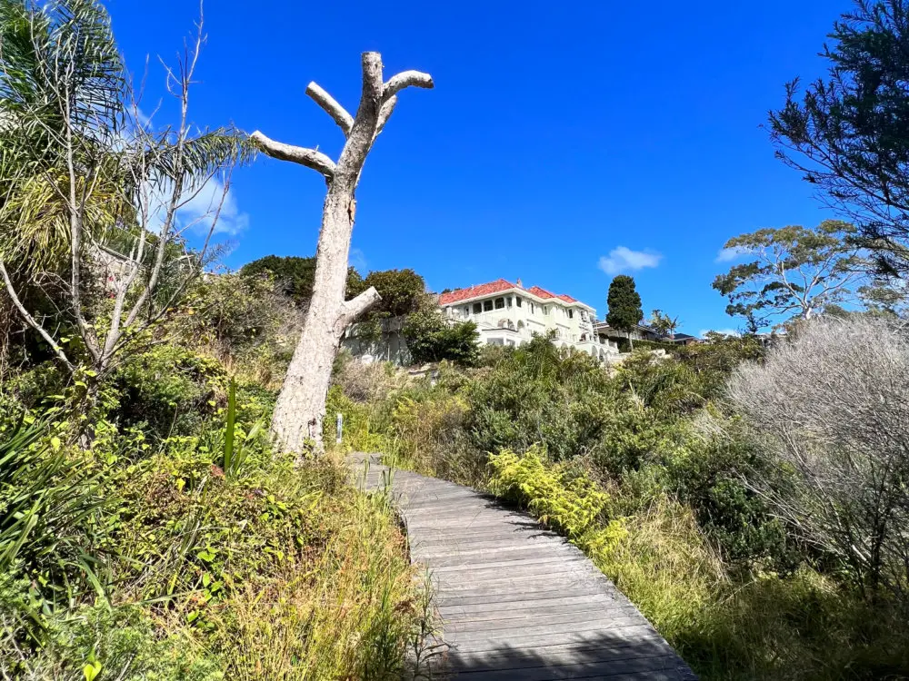 Walkway to Hermit Beach with a tree trunk