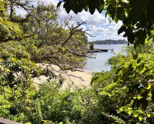 Hermit Beach with view and trees