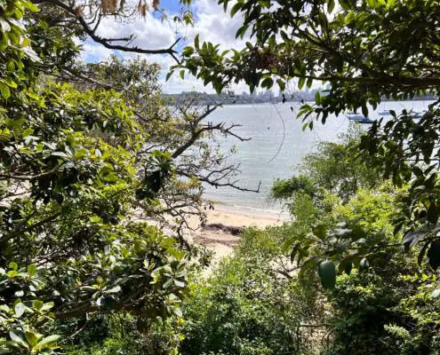 Hermit Beach through the trees
