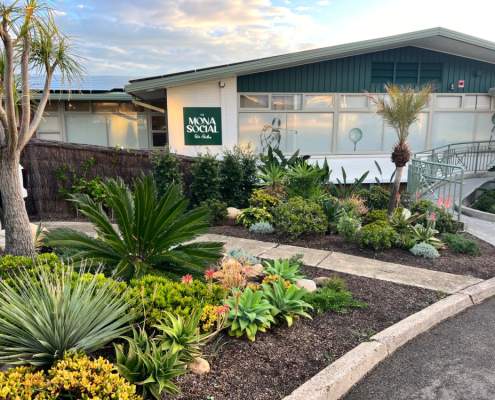 Mona-Social-1 The Mona Social