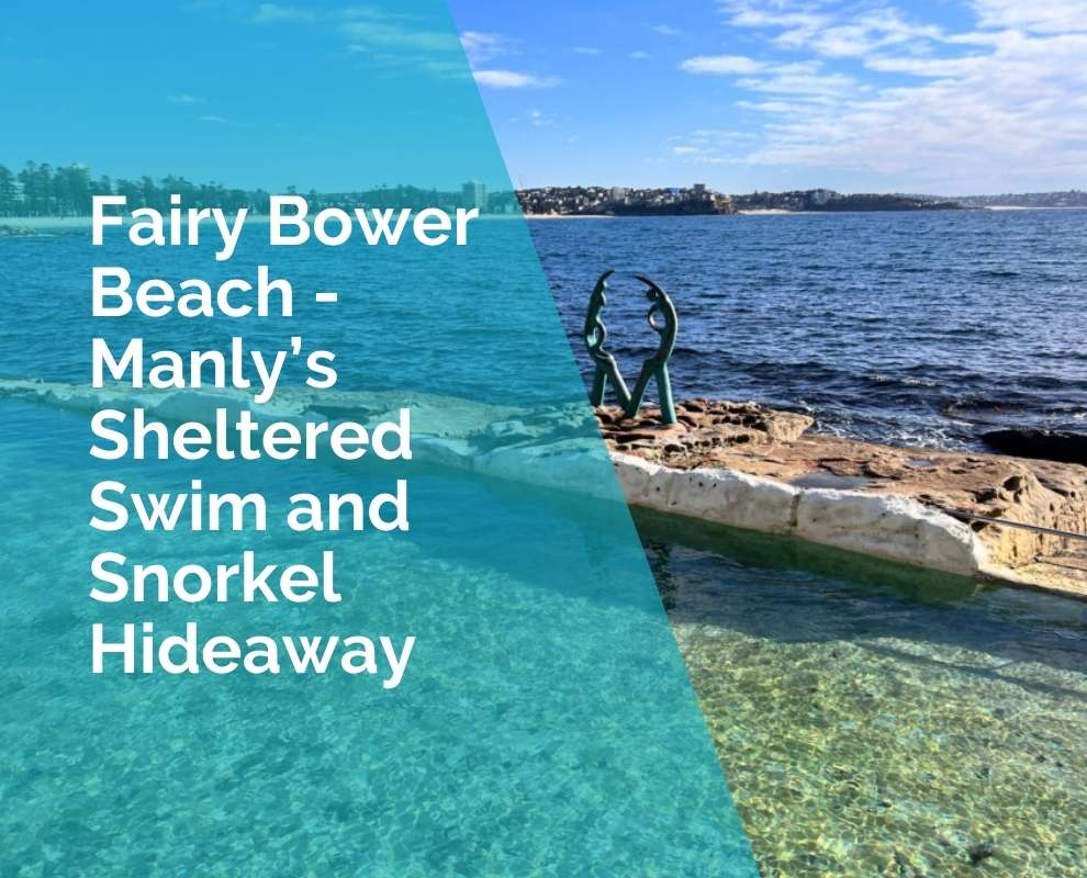 Fairy Bower Beach Manly