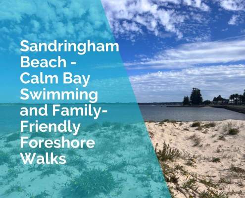 Sandringham Beach