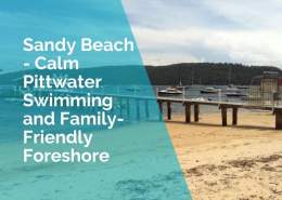 Sandy Beach - Palm Beach